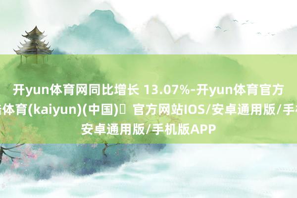开yun体育网同比增长 13.07%-开yun体育官方网站登陆体育(kaiyun)(中国)❥官方网站IOS/安卓通用版/手机版APP