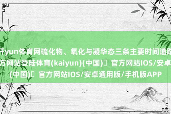 开yun体育网硫化物、氧化与凝华态三条主要时间道路并行-开yun体育官方网站登陆体育(kaiyun)(中国)❥官方网站IOS/安卓通用版/手机版APP