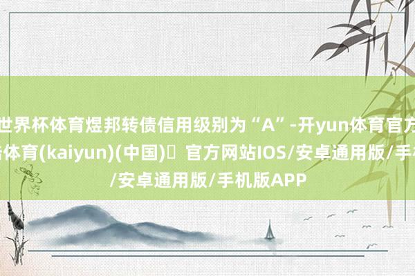 世界杯体育煜邦转债信用级别为“A”-开yun体育官方网站登陆体育(kaiyun)(中国)❥官方网站IOS/安卓通用版/手机版APP